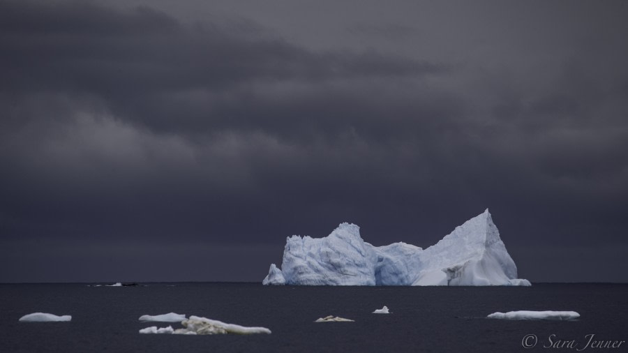 PLA23-19 Day 8 i - Oceanwide Expeditions.jpg