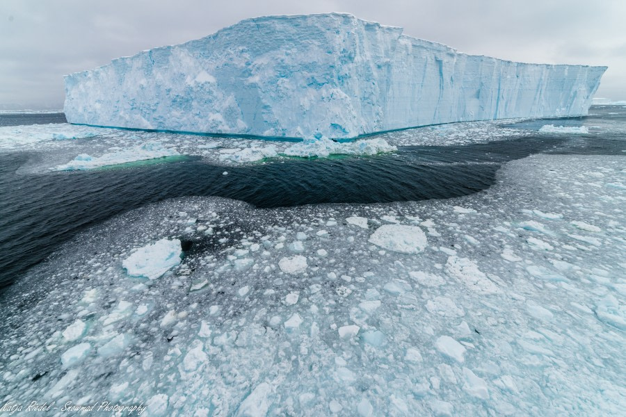 PLA24-19 Day 15 20191214_Katja Riedel_DSC_4148 - Oceanwide Expeditions.jpg