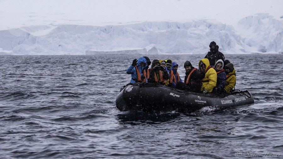 PLA23-19 Day 6 Zodiac cruise 3 - Oceanwide Expeditions.jpg