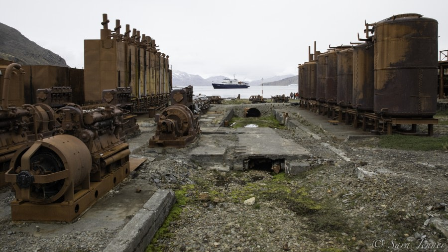 Ocean Harbour und Grytviken