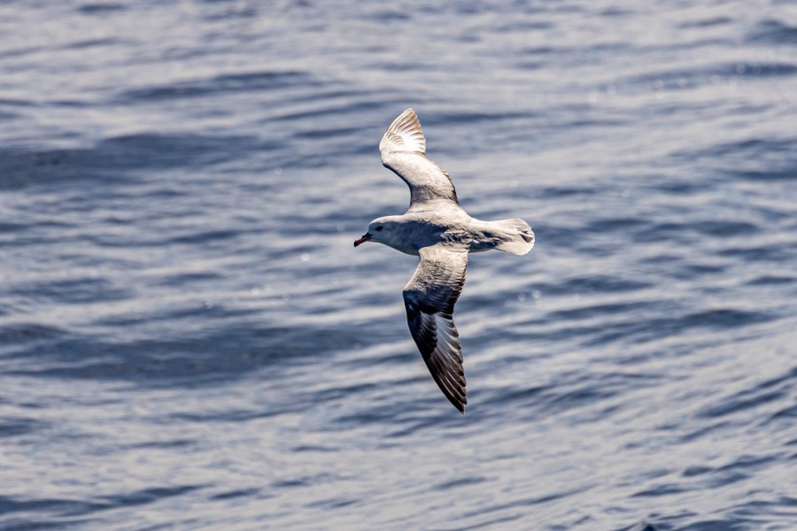 Drake passage