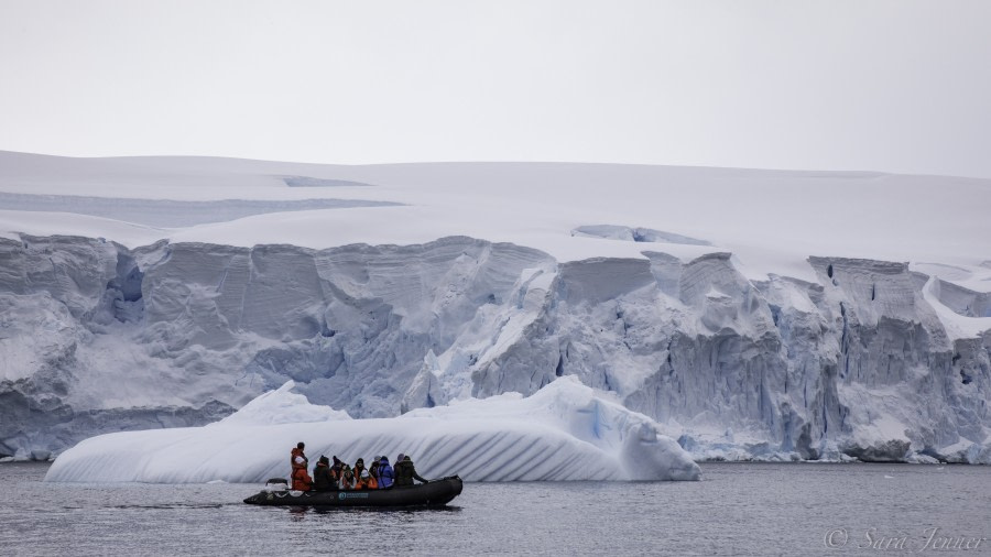 PLA23-19 Day 5 Zodiac cruise 7 - Oceanwide Expeditions.jpg