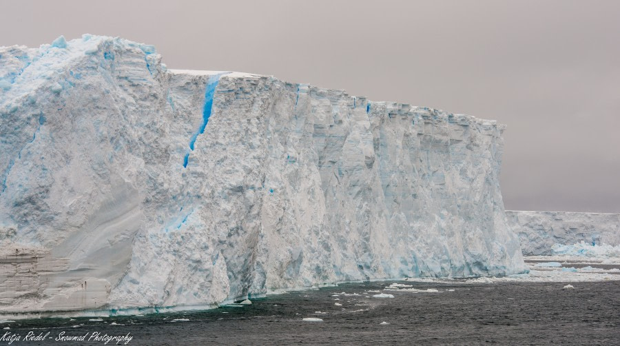 PLA24-19 Day 15 20191214_Katja Riedel_DSC_4169 - Oceanwide Expeditions.jpg