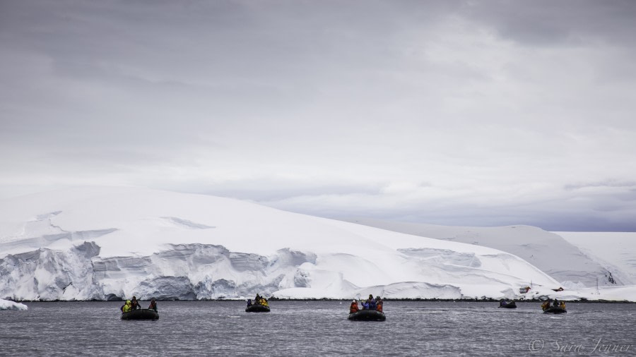 PLA23-19 Day 8 Melchoirs - Oceanwide Expeditions.jpg