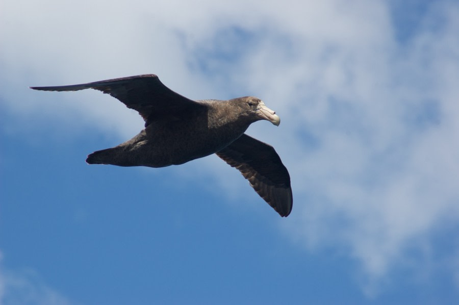 Drake Passage