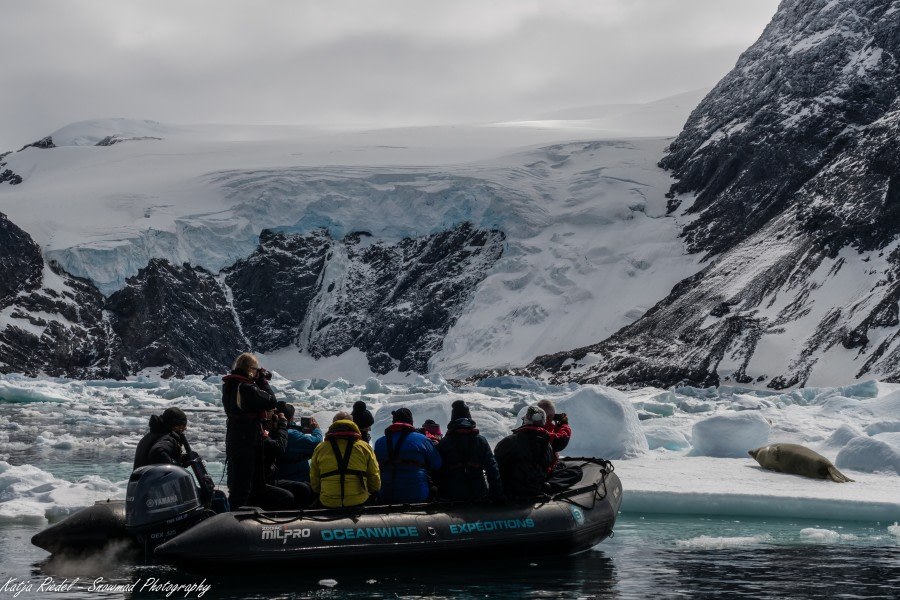 PLA24-19 Day 12 20191211_Katja Riedel_P2340967 - Oceanwide Expeditions.jpg