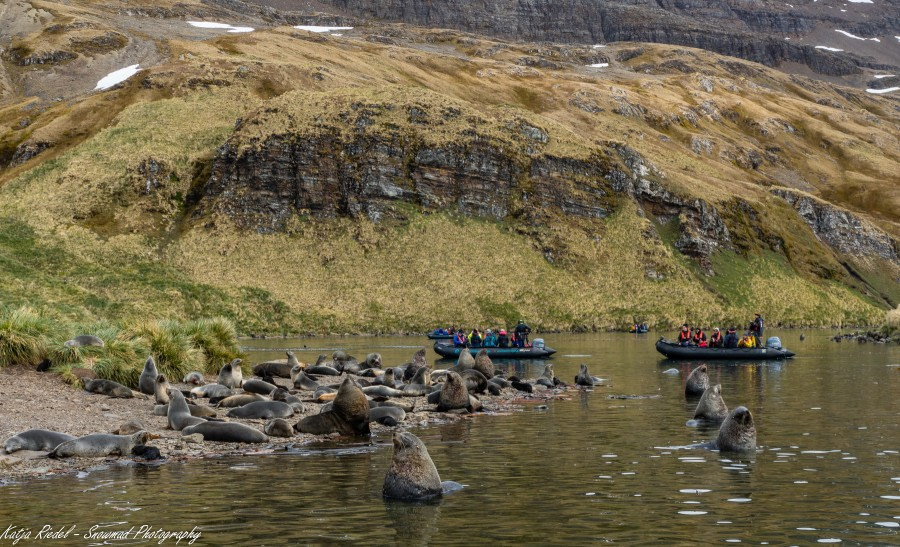 PLA24-19 Day 7 20191206_Katja Riedel_P2340429 - Oceanwide Expeditions.jpg