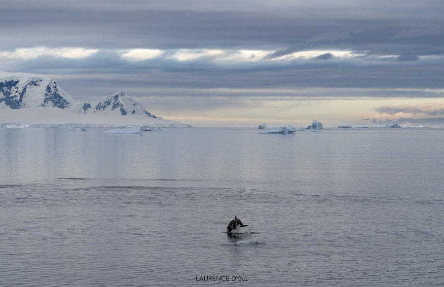 HDS27a-20, DAY 05 LD_07389_PS2_WM - Oceanwide Expeditions.jpg