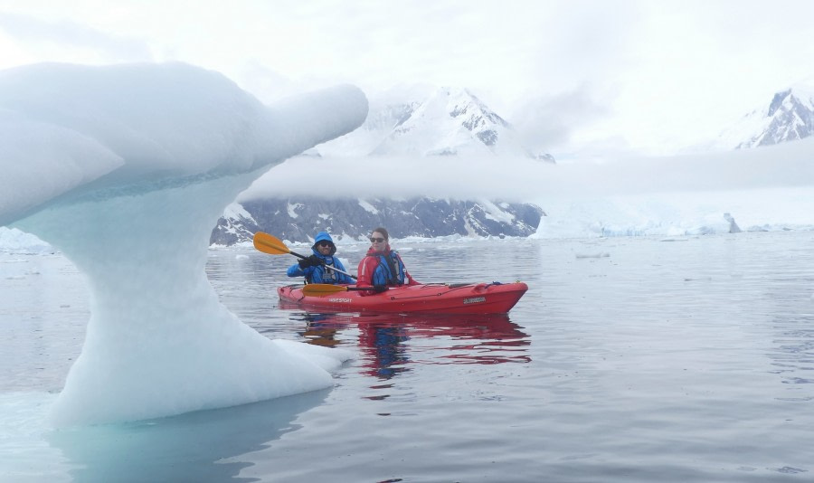 HDS26-19, DAY 06, KAYAK Neko_1 - Oceanwide Expeditions.JPG