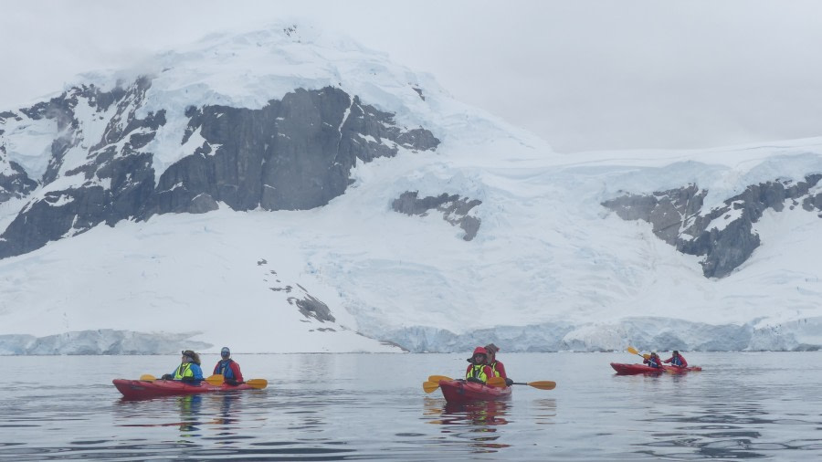 HDS26-19, KAYAK, CUVERVILLE, P1110963 - Oceanwide Expeditions.JPG