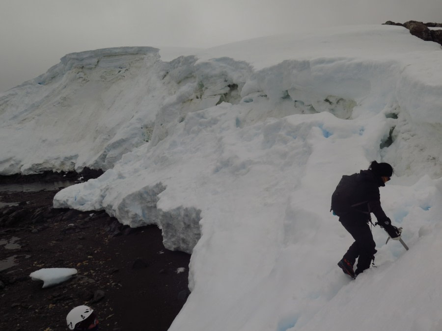 PLA25-19, 16 - Foyn Harbour - Mal Haskins- Oceanwide Expeditions.JPG