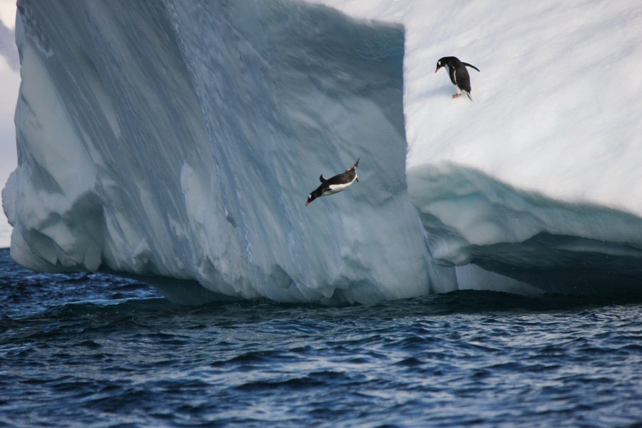 At Sea, Drake Passage