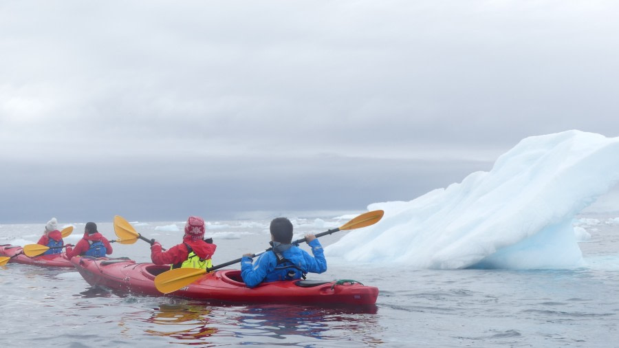 HDS26-19, KAYAK, CUVERVILLE, P1110987 - Oceanwide Expeditions.JPG