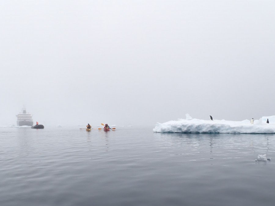 HDS26-19, DAY 04, KAYAK, Brown_bluff - Oceanwide Expeditions.JPG