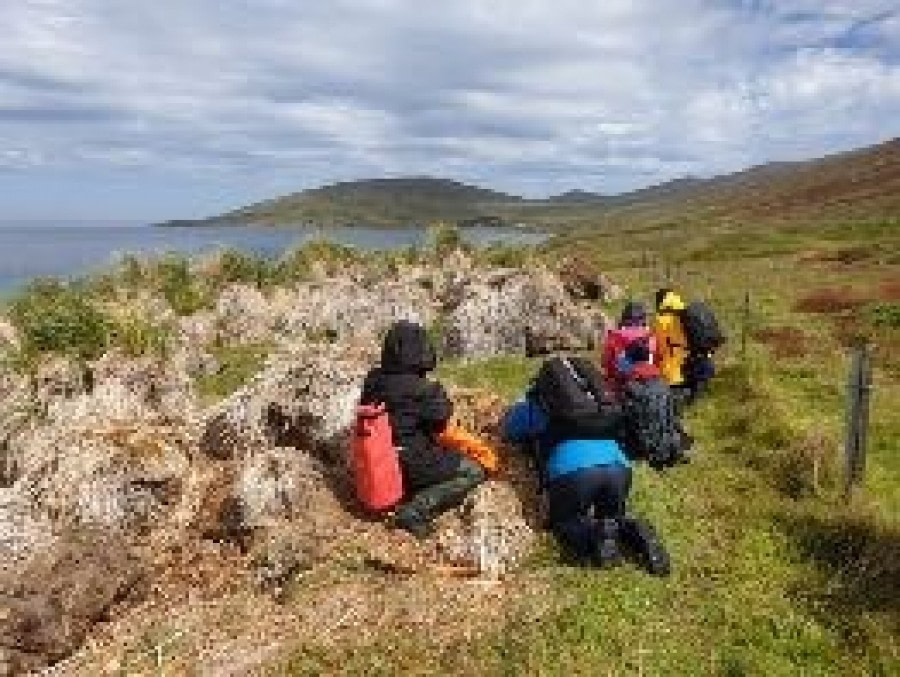 Carcass and Saunders Islands, Falklands