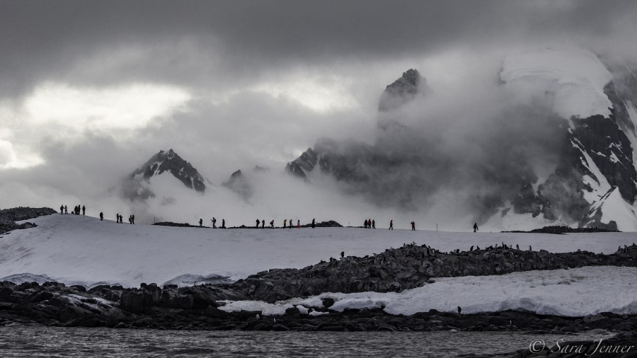 HDS26-19, DAY 07, Orne Island - Oceanwide Expeditions.jpg