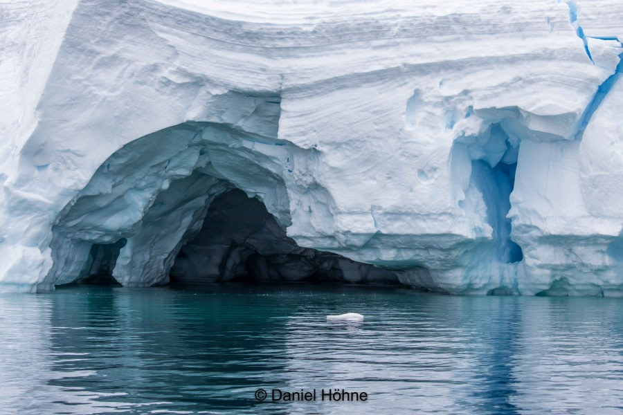 PLA27-20, DAY 06, 5D2A0376-2-Daniel Hoehne -Oceanwide Expeditions.jpg