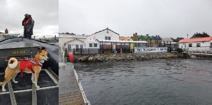 Stanley, Falkland Islands