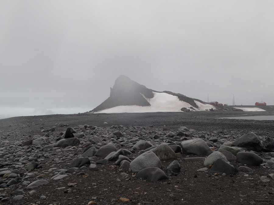 PLA29-20, Day 08, Whalers Bay, Half Moon Island, D8 helene (5) -Oceanwide Expeditions.JPG