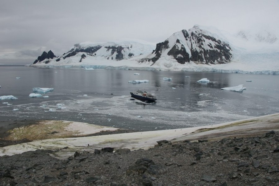 PLA29-20, Day 07, Danco, Orne, D7_RegisPerdriat (1) -Oceanwide Expeditions.jpg