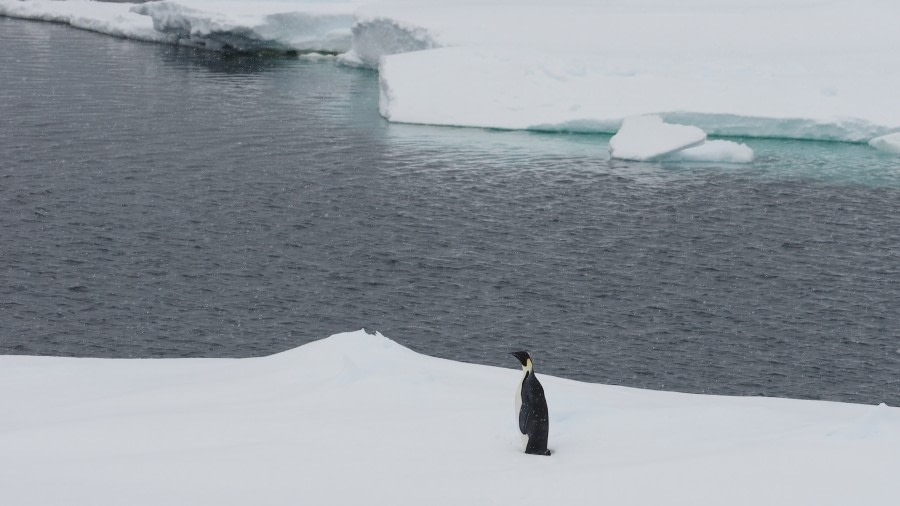 Amundsen Sea