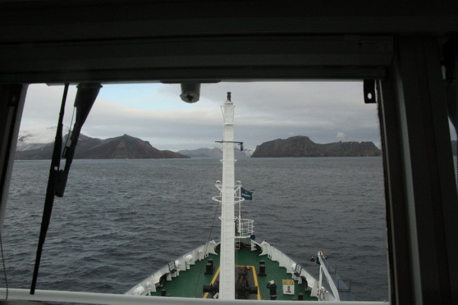 PLA29-20, Day 08, Whalers Bay, Half Moon Island, D8_RegisPerdriat (1) -Oceanwide Expeditions.jpg