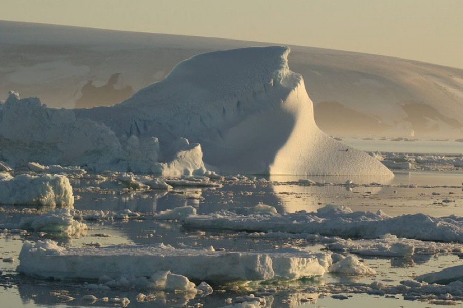 PLA29-20, Day 04, Paulet, Brown Bluff D4_RegisPerdriat  (4) -Oceanwide Expeditions.jpg