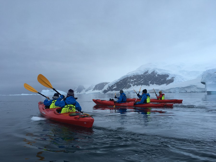 HDS27a-20, Kayak, Paradise Bay & Neko Harbor IMG_0003 - Oceanwide Expeditions.jpg