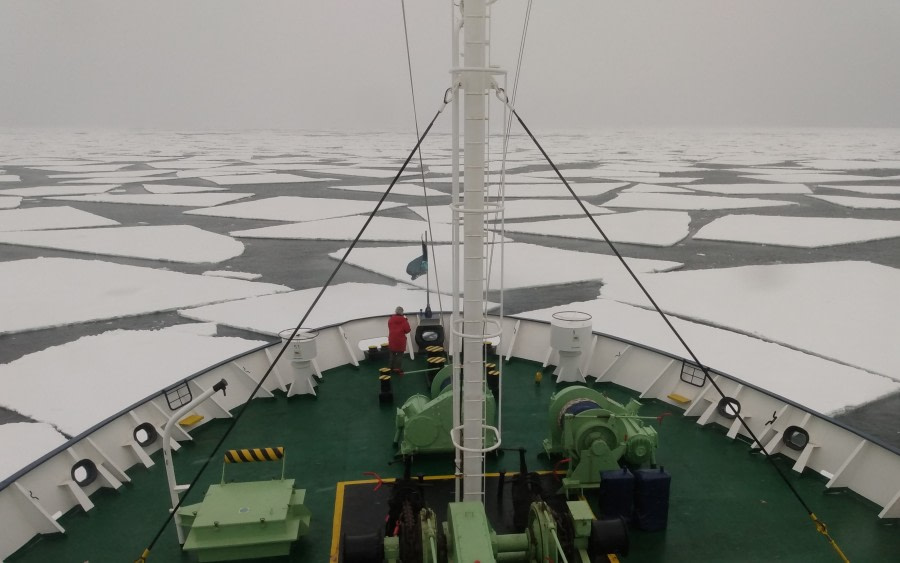 Ross Sea – Terra Nova Bay