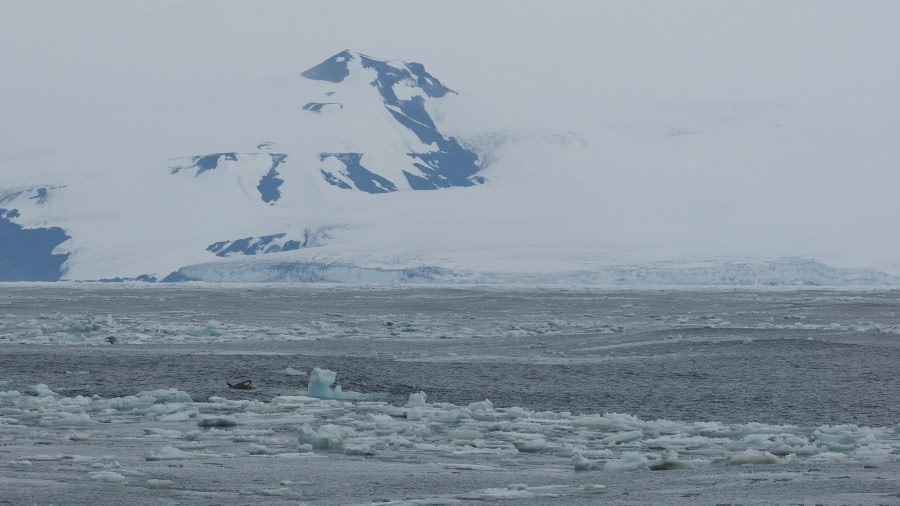 OTL27-20, 2020-02-03 (c) Christian Engelke P2020358 Wood Bay -Oceanwide Expeditions.JPG