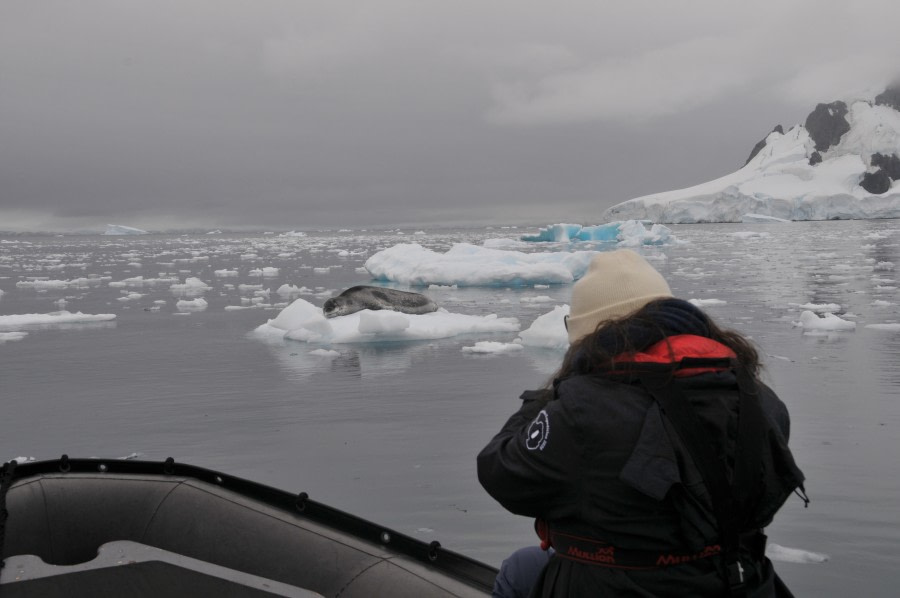 PLA29-20, Day 07, Danco, Orne, DSC_6949_CelineClement -Oceanwide Expeditions.JPG