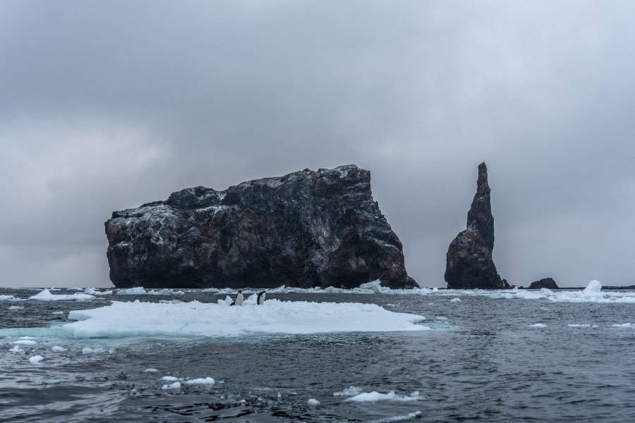 OTL27-20, Buckle Island, Balleny Islands 1, Heidi  -Oceanwide Expeditions.jpg