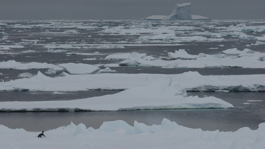 OTL27-20, 2020-01-24 (c) Christian Engelke P1240548 Amundsen Sea -Oceanwide Expeditions.JPG