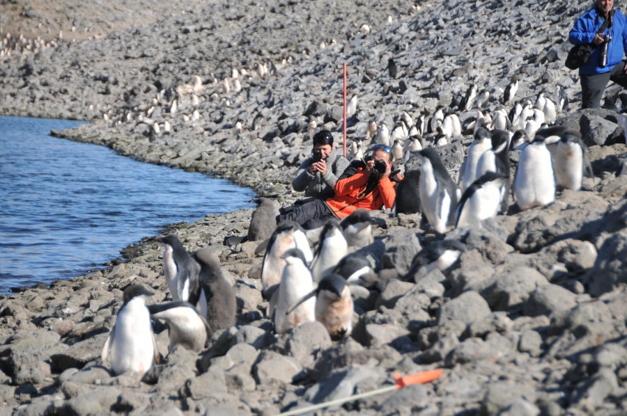 Paulet Island © Celine Clement - Oceanwide Expeditions.JPG