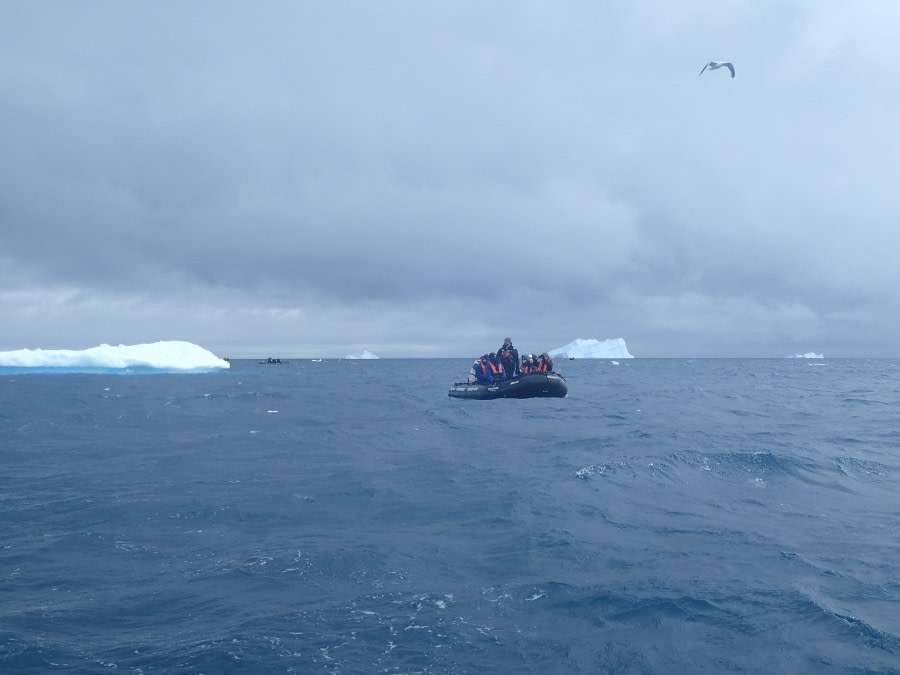 PLA29-20, Day 05, Eckener Point, Portal Point D5 helene d (4) -Oceanwide Expeditions.JPG