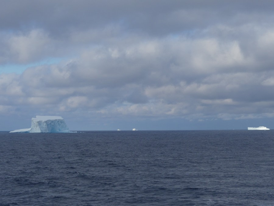 OTL27-20, Icebergs Victoria Salem -Oceanwide Expeditions.JPG