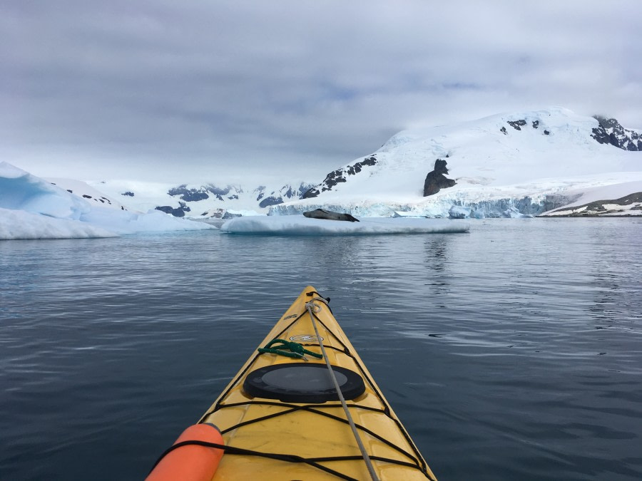 HDS27a-20, Kayak, Orne Harbour & Orne Isl IMG_9888 - Oceanwide Expeditions.jpg