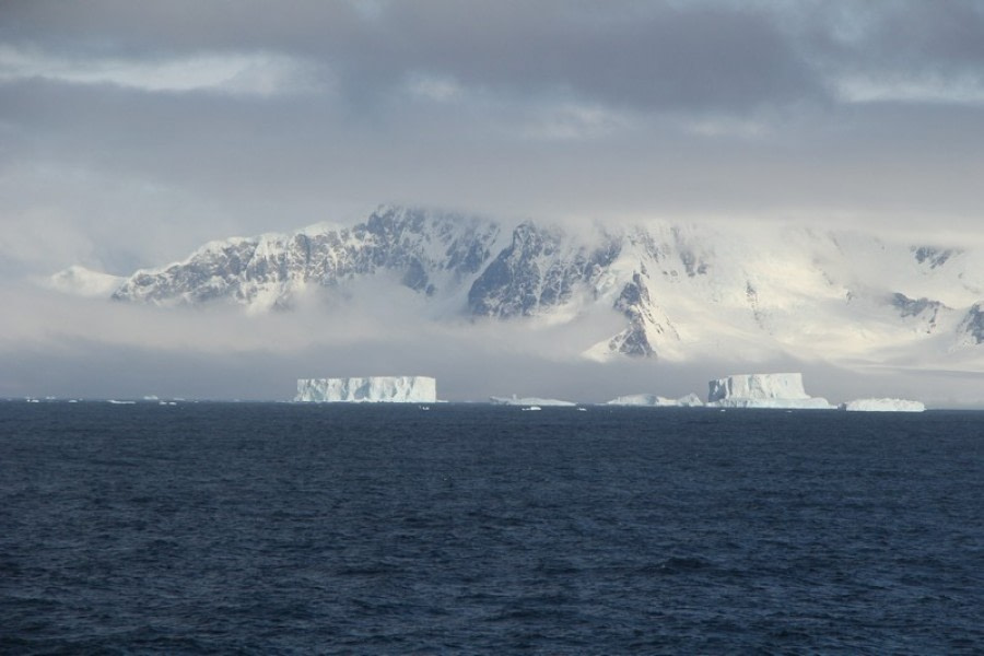 PLA30-20, Day 06, 21 FEB, Detaille, D6_RegisPerdriat (14) -Oceanwide Expeditions.jpg