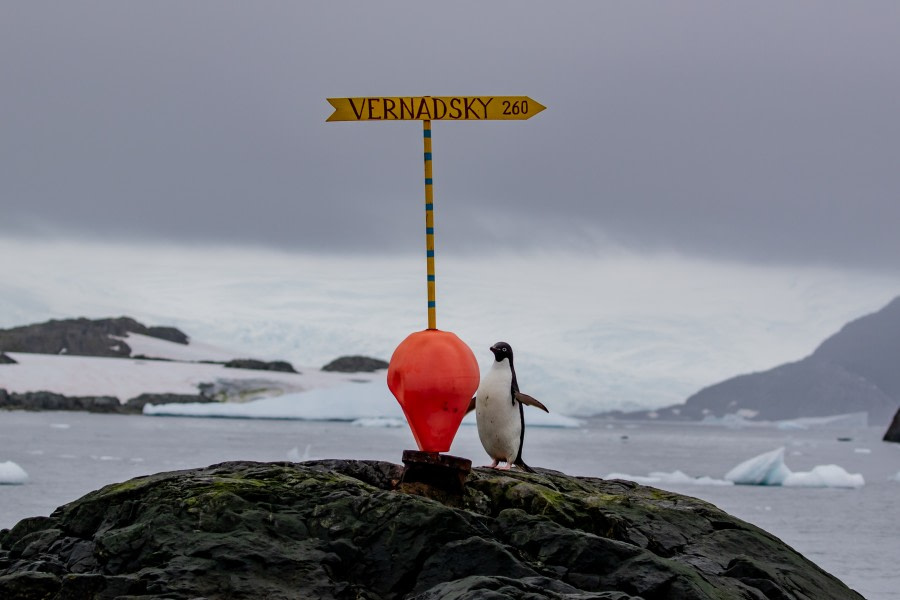 Vernadsky Station, Wordie House & Yalour Islands