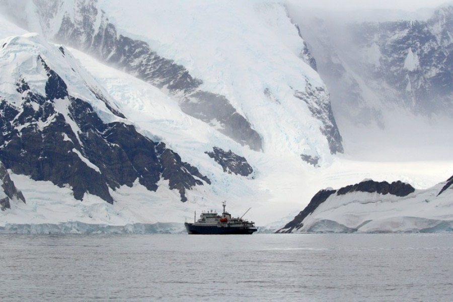 PLA30-20, Day 08, 23 FEB, Wilhelmina & Foyn, D8_RegisPerdriat (10) -Oceanwide Expeditions.jpg