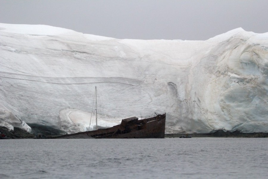 PLA30-20, Day 08, 23 FEB, Wilhelmina & Foyn, D8_RegisPerdriat (15) -Oceanwide Expeditions.jpg