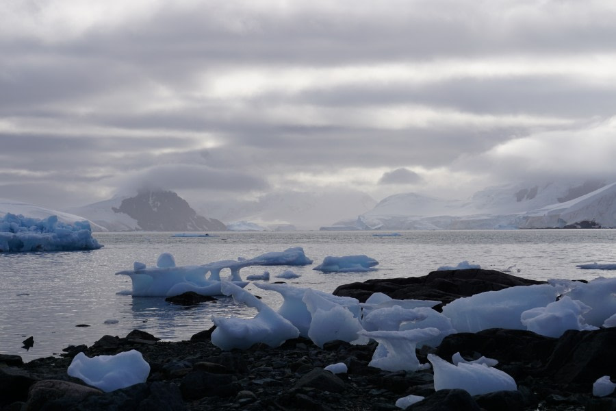 PLA30-20, Day 07, 22 FEB, Damoy & Stony, StoneyPoint_View_Steffi_Liller -Oceanwide Expeditions.JPG