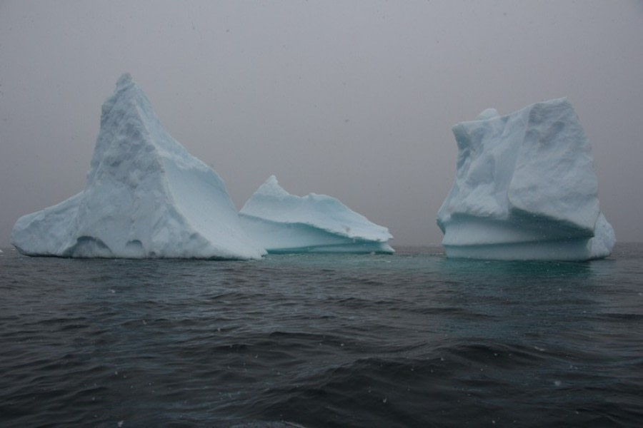 PLA30-20, Day 06, 21 FEB, Detaille, D6_RegisPerdriat (2) -Oceanwide Expeditions.jpg