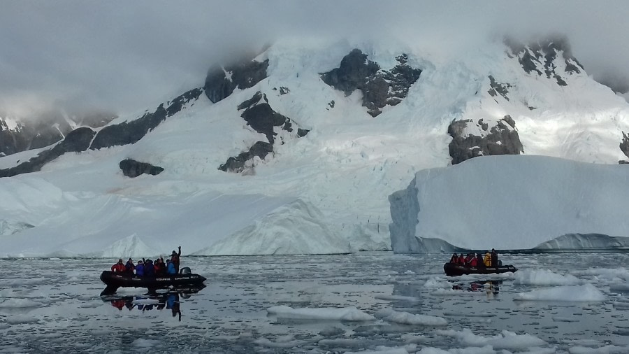 PLA30-20, Day 07, 22 FEB, Damoy & Stony, 20200222_181230 -Oceanwide Expeditions.jpg