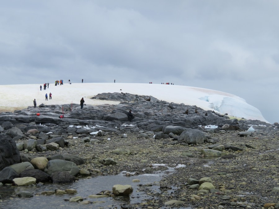 HDS29-20, DAY 07, 11 FEB Miriam Dobrowolski 6 - Oceanwide Expeditions.jpg