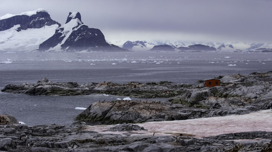 Yalour Islands and Petermann Island