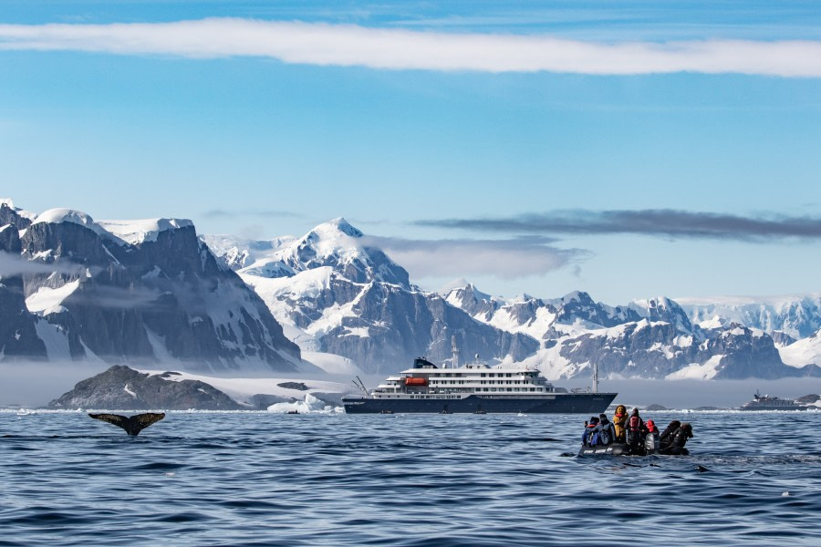 HDS30-20, DAY 04, 18 FEB pippalow-5588 - Oceanwide Expeditions.jpg