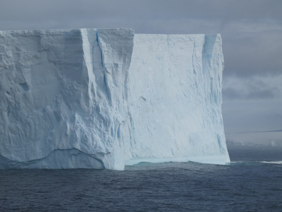 PLA30-20, Day 06, 21 FEB, Detaille, P1030145 -Oceanwide Expeditions.JPG