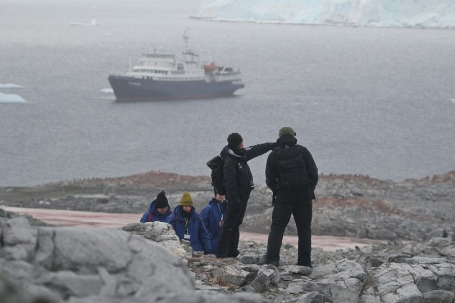 PLA30-20, Day 07, 22 FEB, Damoy & Stony, D7_RegisPerdriat (14) -Oceanwide Expeditions.jpg