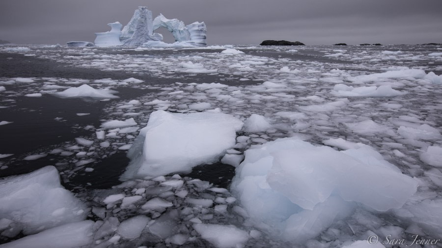 HDS30-20, DAY 05, 19 FEB Yalours 12 - Oceanwide Expeditions.jpg